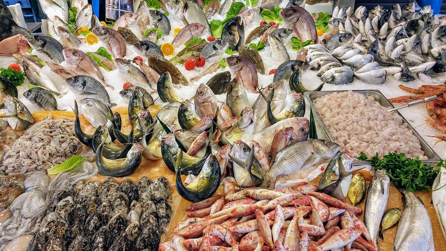 Il pesce, appena pescato — Palermo