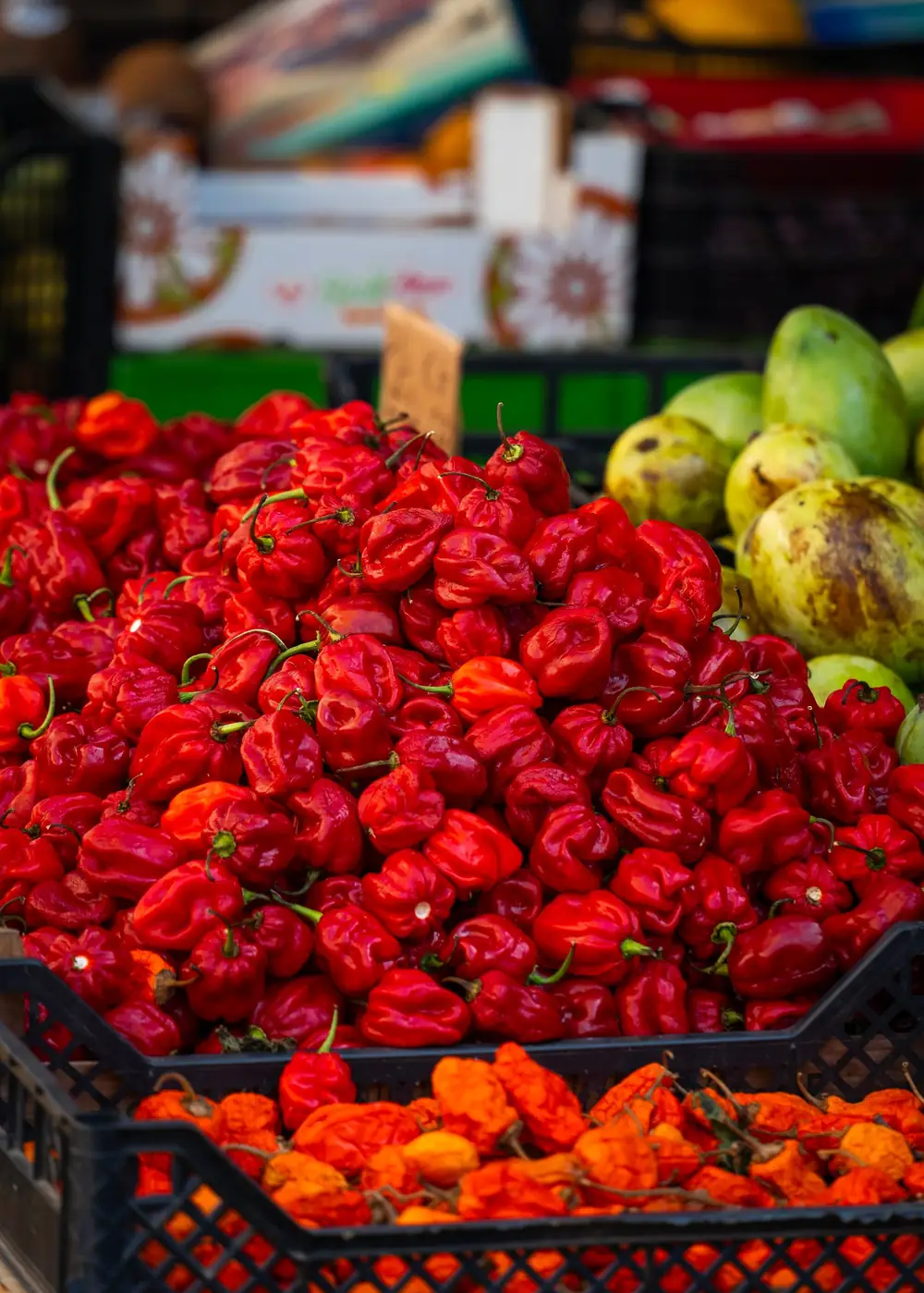 The markets — Palermo